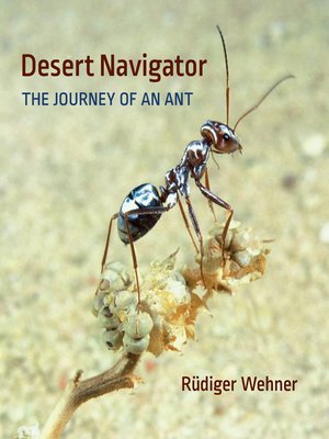 cover image of Desert Navigator